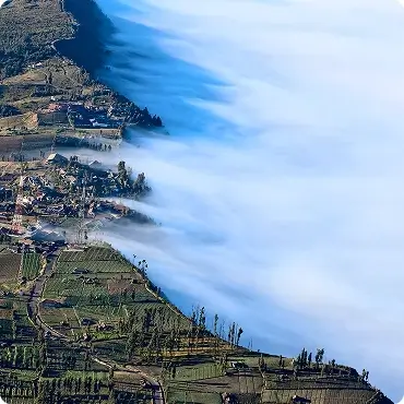 Fog over city